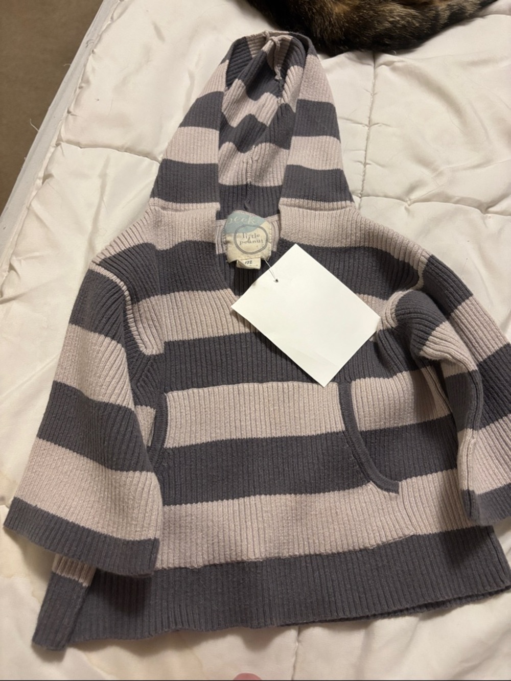 Striped Hooded Knit Sweater